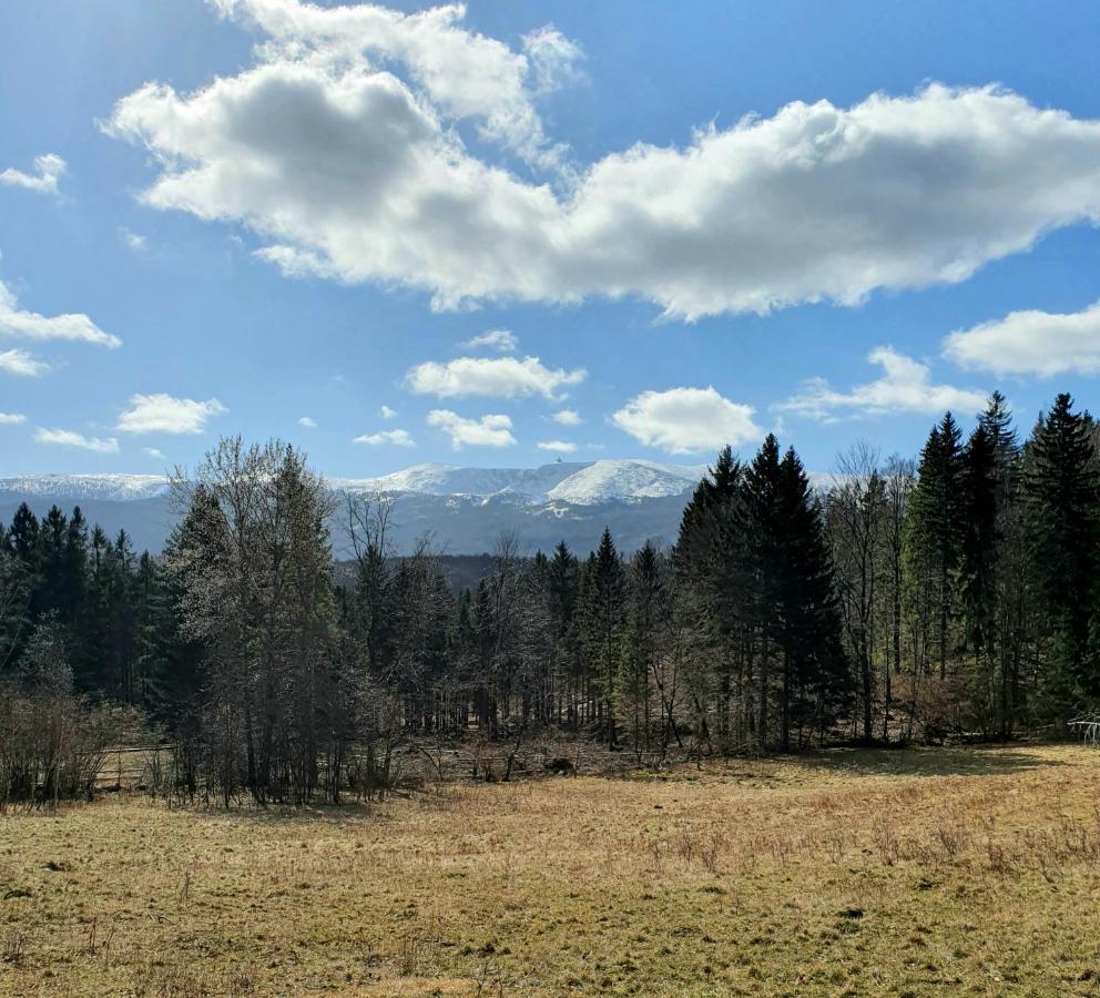 Apartament Nr 16 Szklarska Poreba Luaran gambar